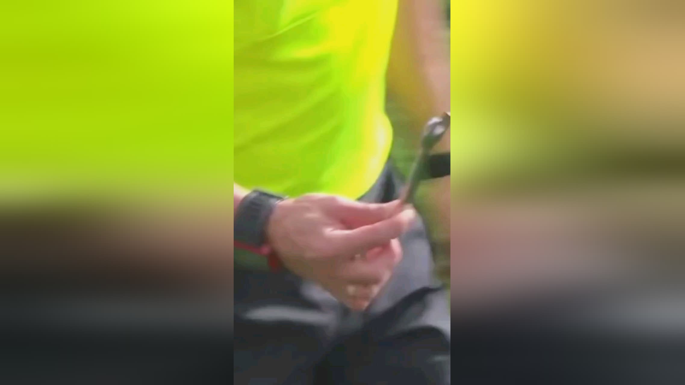 16285655741758ac187a38b58443d